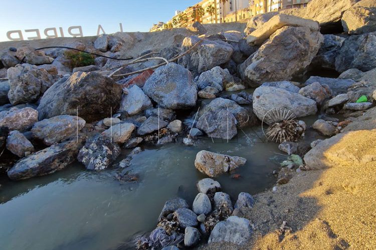 vertido-fuente-caballos-desprecio-medioambiente