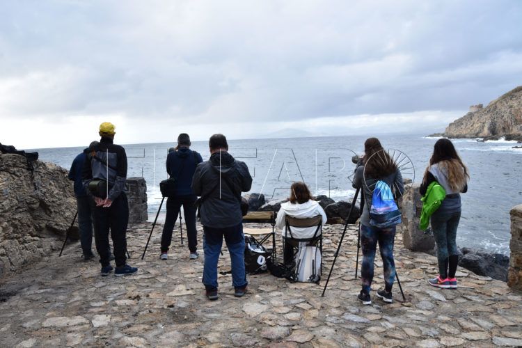 avistamiento-aves-seo