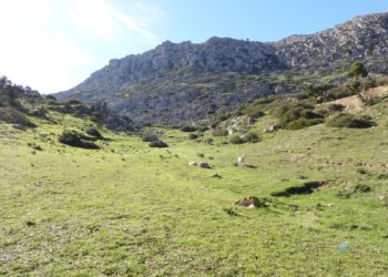 naturaleza-colaboracion-septem-nostra-1