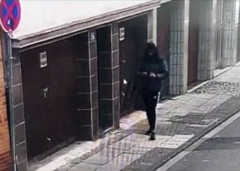 pastilla-policia-nacional-detencion-alemania-1