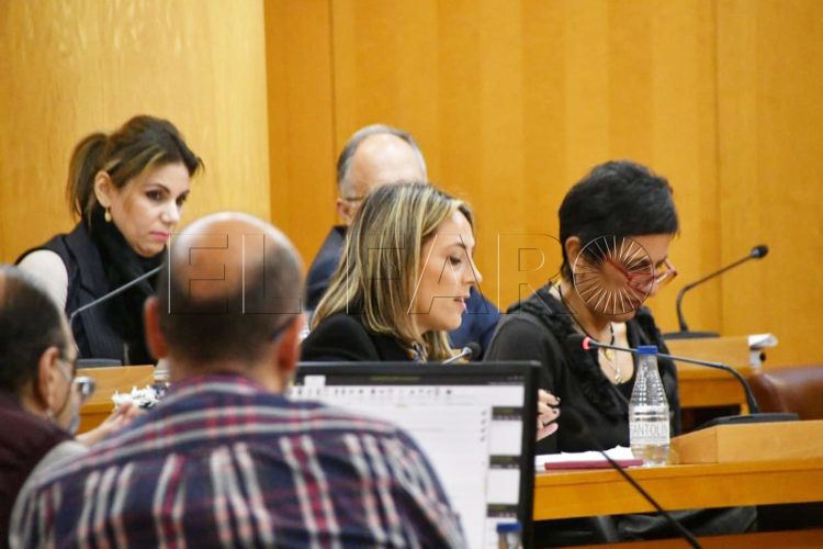 pleno-control-gobierno-diciembre