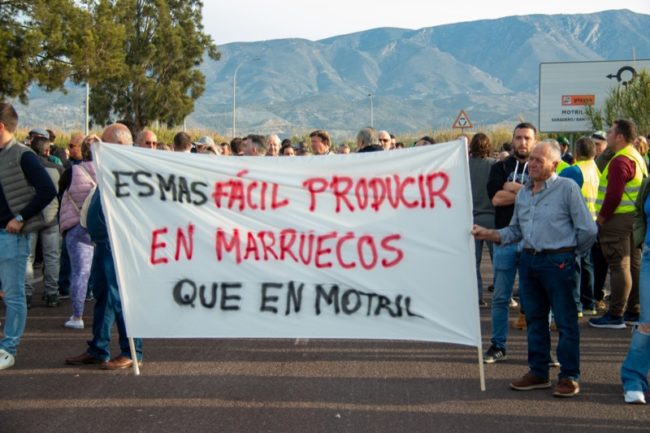 agricultores-marroquies-denuncian-ataques-infundados-europa-productos