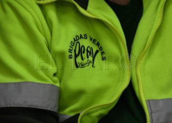 brigadas verdes-viable-legal-economicamente-subrogacion-007
