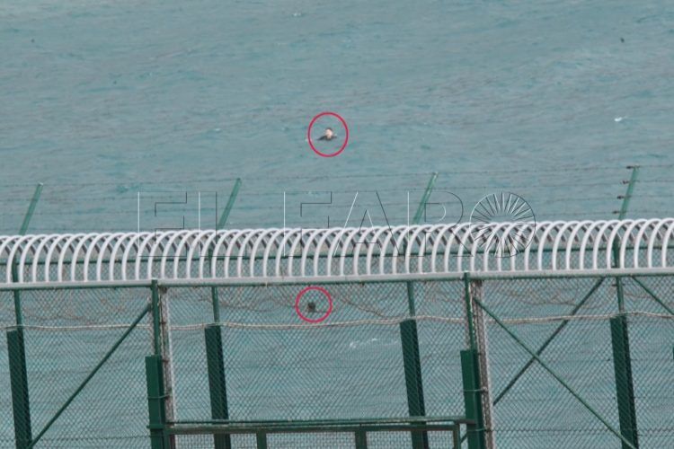 grietas-frontera-ceuta-quiere-reclamar-mas-medios-estado-005