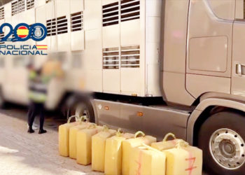 hachis-marruecos-llego-espana-trailer-animales