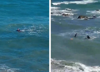 intentos-entrada-nado-inmigrantes-marruecos