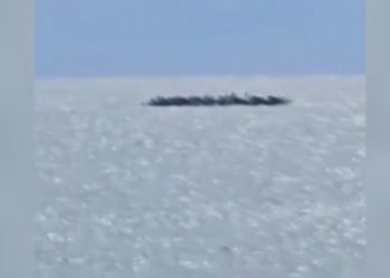 narcolanchas-embisten-patrullera-guardia-civil-persecucion-manilva