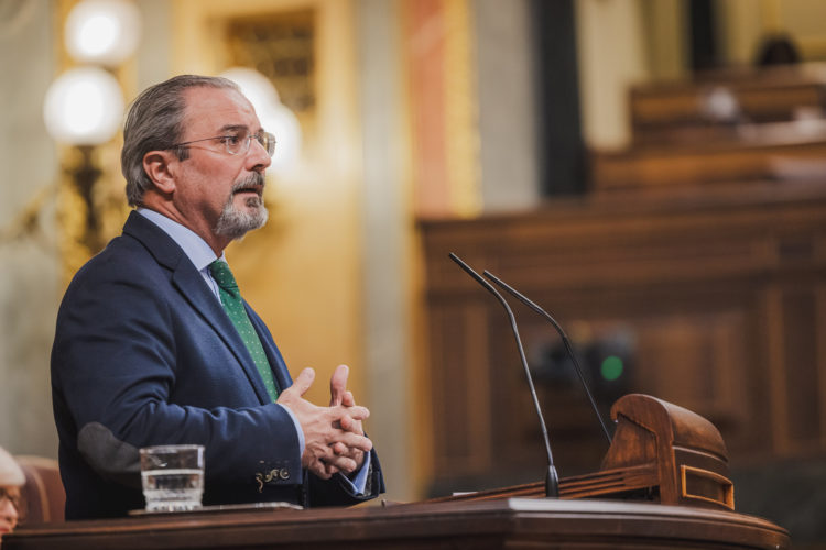 portavoz-asuntos-exteriores-vox-congreso-carlos-flores-2