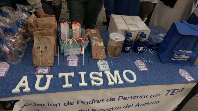 psoe-reclama-equidad-inclusion-politicas-apoyo-diversidad-funcional