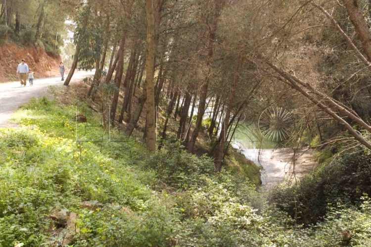 ciudad-preve-abrir-verano-pantanos-uso-publico