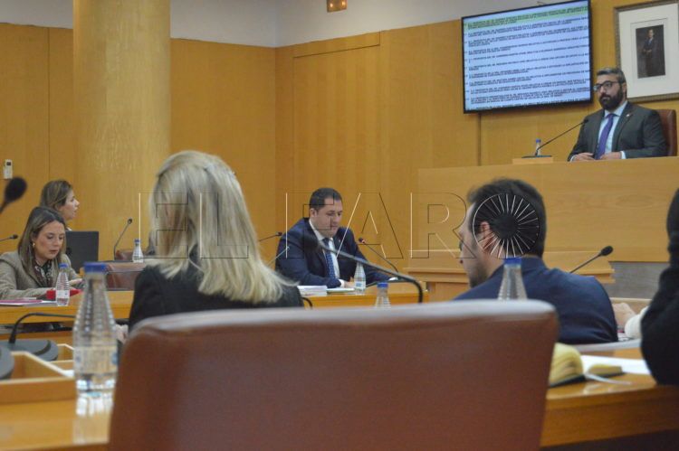 pleno-asamblea-29042024-27