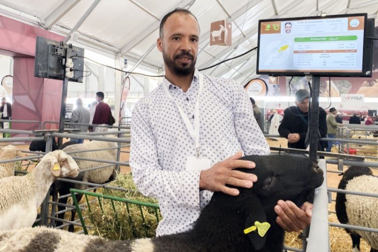 precio-carne-oveja-eid-adha