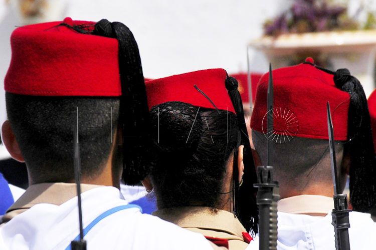 regulares-54-espalda