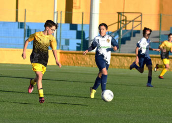 definida-segunda-fase-futbol-sala-futbol-8-primera-autonomica