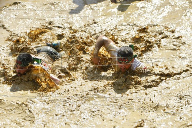 desafio-300-pruebas-2024-006