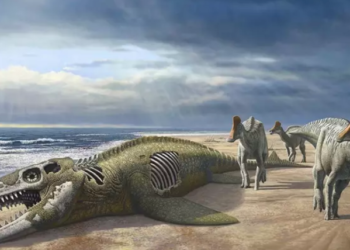 dinosaurios-pico-pato