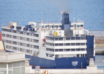 donde-viene-mal-olor-barco-ganado