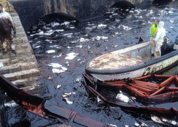 labor-ecoceuta-crucial-contencion-vertido