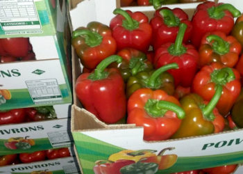 pimientos-marruecos