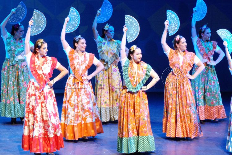 academia-baile-lesmes-espectaculo-homenaje-frida-kahlo-5