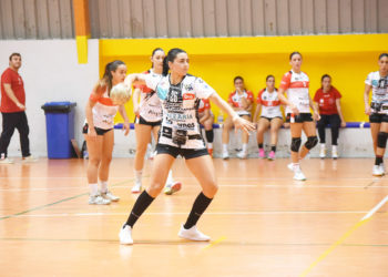 damaris-fernandez-ficha-schar-colores-zaragoza