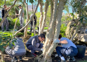 termina-primera-fase-tandem-huertos-urbanos-camara-comercio-002