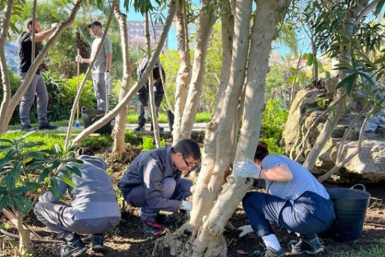termina-primera-fase-tandem-huertos-urbanos-camara-comercio-002