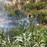 bomberos-incendio-arroyo-paneque-1