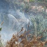 bomberos-incendio-arroyo-paneque-10