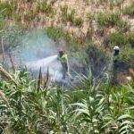 bomberos-incendio-arroyo-paneque-13