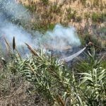 bomberos-incendio-arroyo-paneque-15