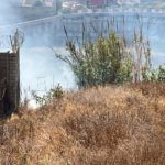 bomberos-incendio-arroyo-paneque-19