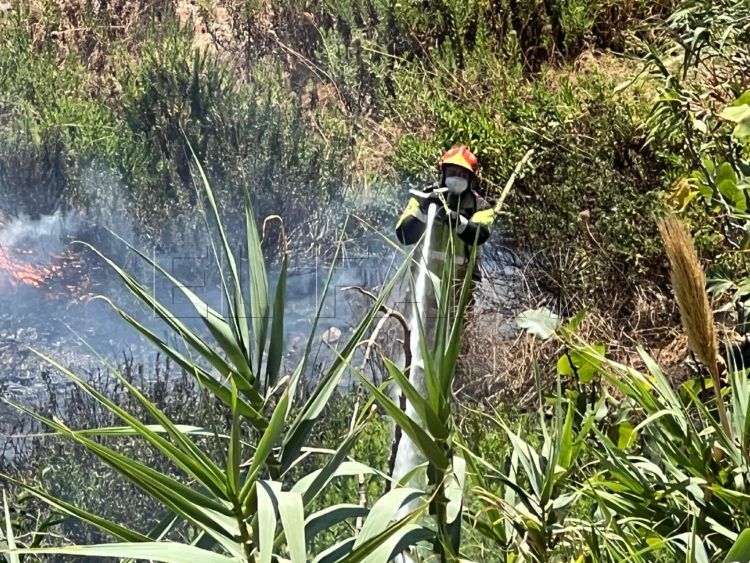 bomberos-incendio-arroyo-paneque-2