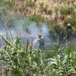 bomberos-incendio-arroyo-paneque-20