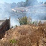 bomberos-incendio-arroyo-paneque-21