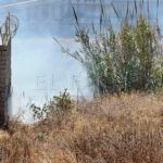 bomberos-incendio-arroyo-paneque-3