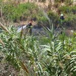 bomberos-incendio-arroyo-paneque-9