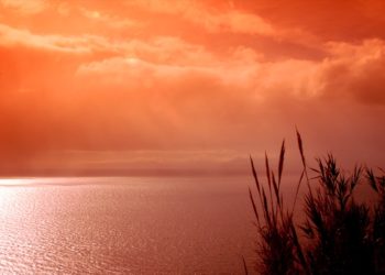 despertar-nuevo-dia-002