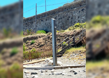 ducha-sin-agua-playa-perros