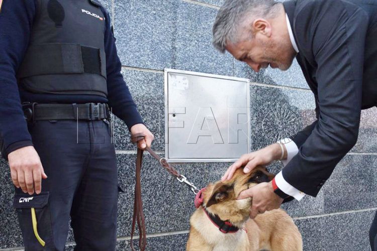 grande-marlaska-ceuta-acto-bandera-espana-policia-nacional