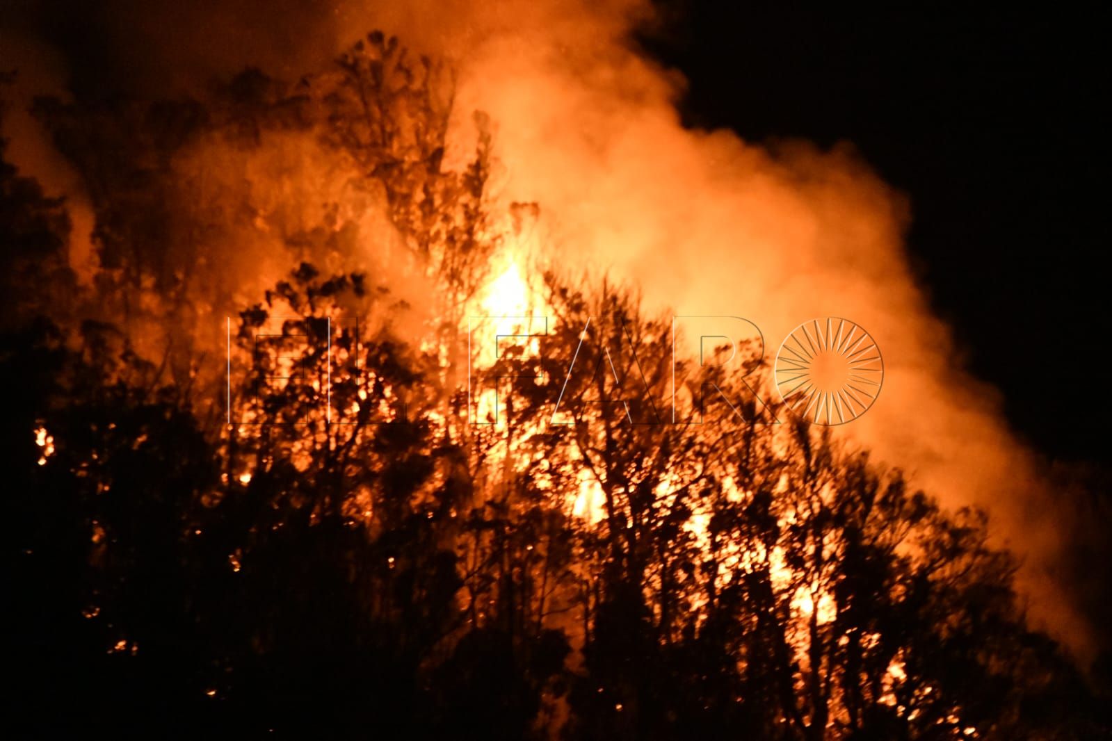 incendio-fuego-monte-hacho-6
