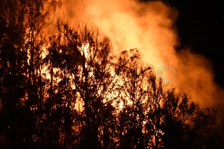 incendio-fuego-monte-hacho-7