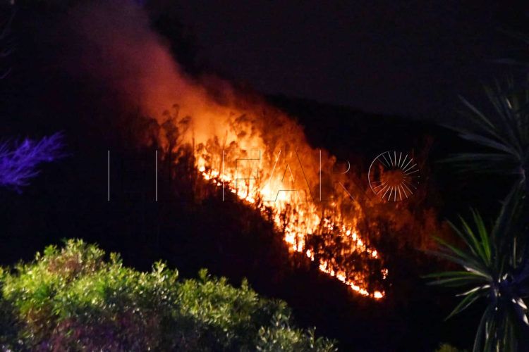 incendio-monte-hacho-zona-oasis-1