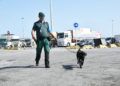 dron-maquina-detectora-latidos-guardia-civil-puerto-operacion-feriante-21