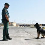 operacion-feriante-puerto-guardia-civil-3