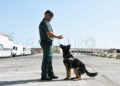 operacion-feriante-puerto-guardia-civil-4