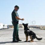 operacion-feriante-puerto-guardia-civil-4