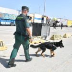 operacion-feriante-puerto-guardia-civil-6