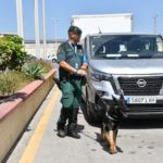 operacion-feriante-puerto-guardia-civil-8