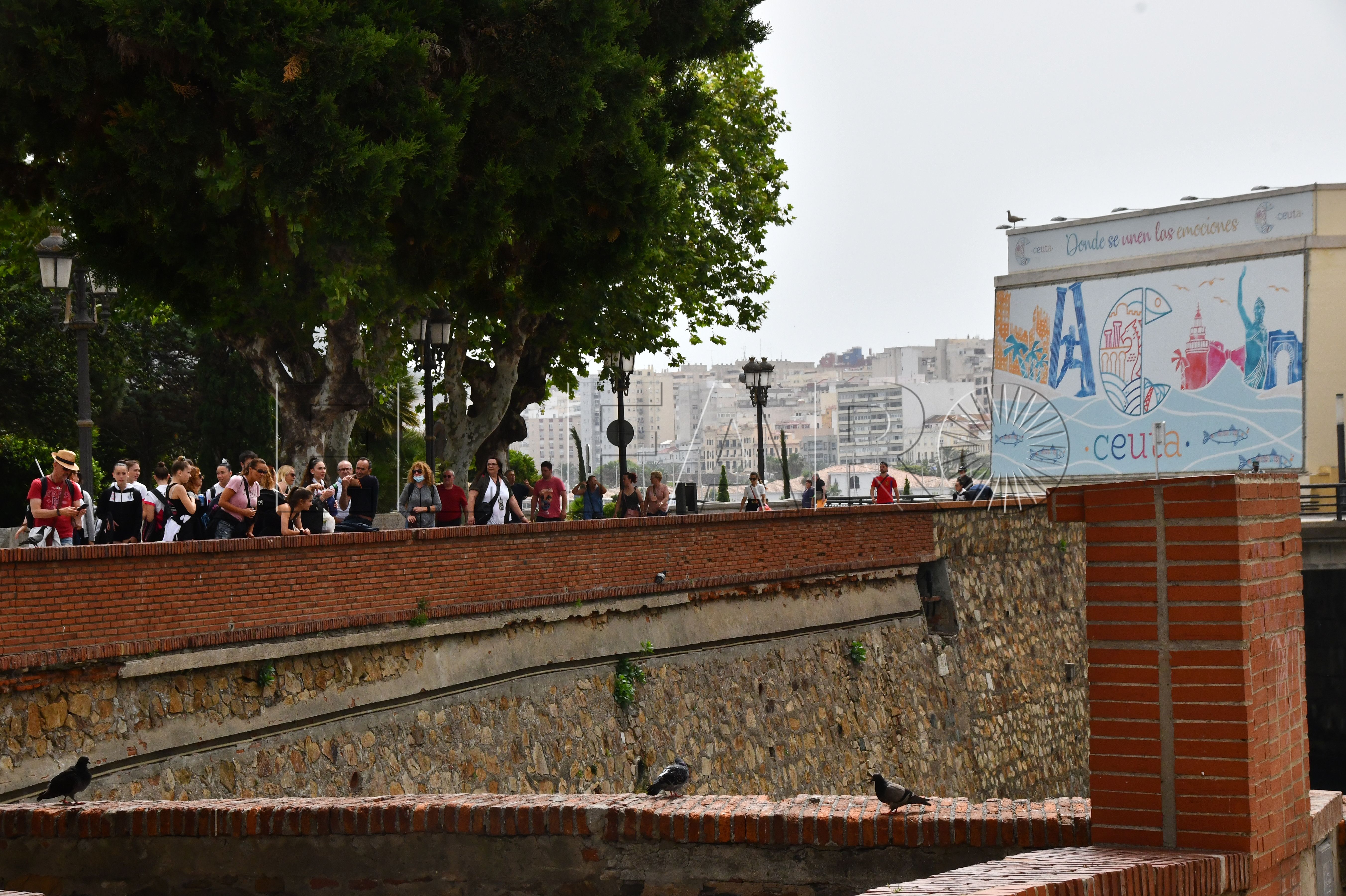 viajeros-crecen-febrero-respecto-2024